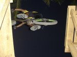 DSC06152.JPG