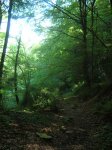 DSCN2108.JPG