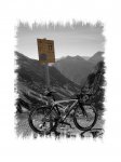 Stelvio 6.jpg