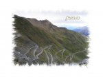 Stelvio 7.jpg