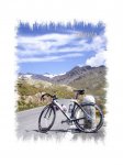 Gavia 1.jpg