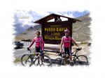 Gavia 2.jpg