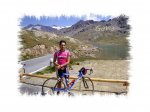 Gavia 4.jpg