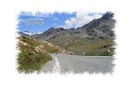 Gavia 5.jpg
