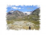 Gavia 6.jpg