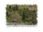 Fedaia 7.jpg