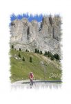 Sella 3.jpg
