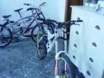 DSC05495.JPG