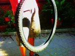IMG_0303.JPG