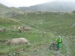 IMG_0421.JPG
