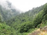 IMG_0461.JPG