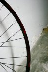 IMG_4354.jpg