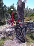 IMG00317-20130504-1247.jpg