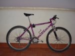 DSC05850.jpg