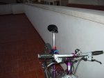 DSC05852.jpg