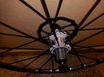 IMG_20150802_191633.jpg