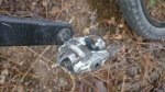 DSC_2536.JPG
