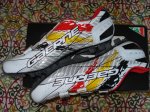 DSC08803.JPG
