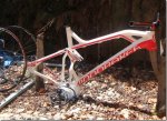 DSC02200[2].jpg