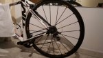 image7.jpeg