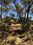 IMG-20150730-WA0019.jpg