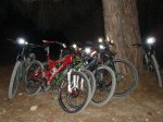 DSC05872.jpg