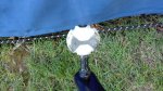 IMG_20150808_134307.jpg