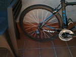IMG_20150809_153107.jpg
