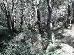 11864770_908790059159124_2120708837176150082_o.jpg