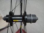 DSC05821.JPG