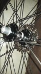 20150808_183353.jpg