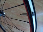 IMG-20150811-WA0007.jpg