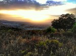 IMG_20150812_204440-01_mini.jpeg