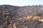 guillena070805_029.jpg