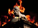 m_lion fire copia.jpg