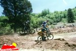 4x pinyon.jpg