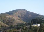 DSC06591.JPG