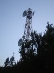 DSC06630.JPG