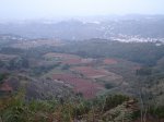 DSC06631.JPG