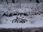 DSC03227.JPG