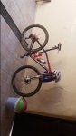 IMG-20150731-WA0013.jpeg