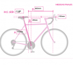 pos bici.png