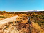 IMG_20150814_181614-01_mini.jpeg