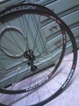 IMG-20150809-WA0016.jpg
