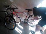 bicisara.jpg