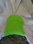 IMG_20150817_124932.jpg