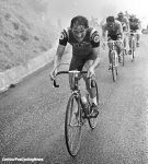 tdf77-paul-wellens-big.jpg