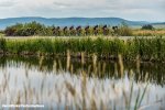 usapc15st1dp-water-scenic-big.jpg