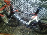 IMG_20150820_160237.jpg