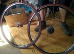 IMG-20150817-WA0041.jpg